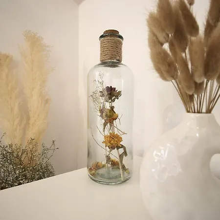 Lady Vine By Lady Collection Dom wakacyjny Porto