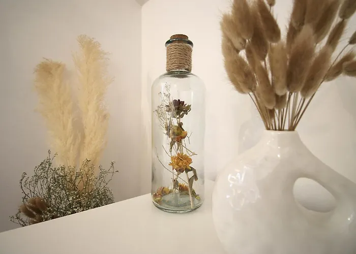 Lady Vine By Lady Collection Feriehus Porto