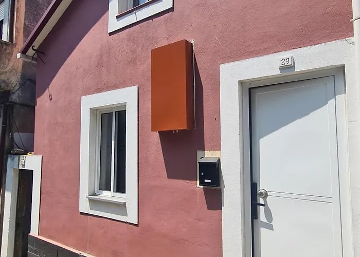 Lady Vine By Lady Collection *