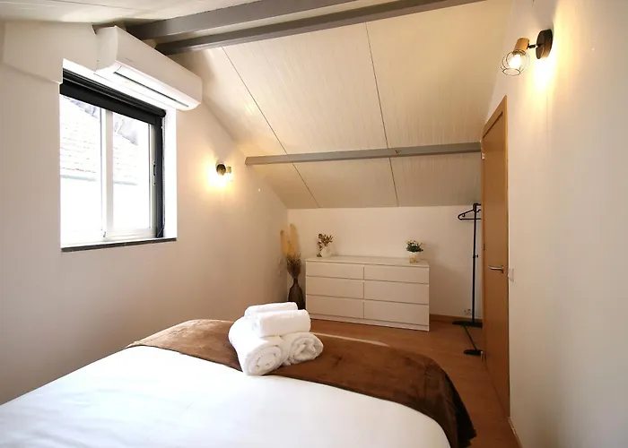 Lady Vine By Lady Collection