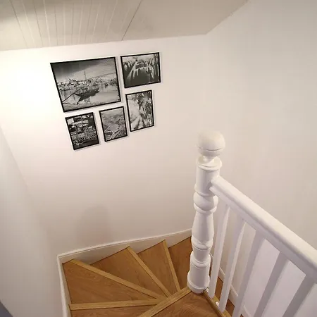 Lady Vine By Lady Collection *