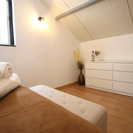 Lady Vine By Lady Collection